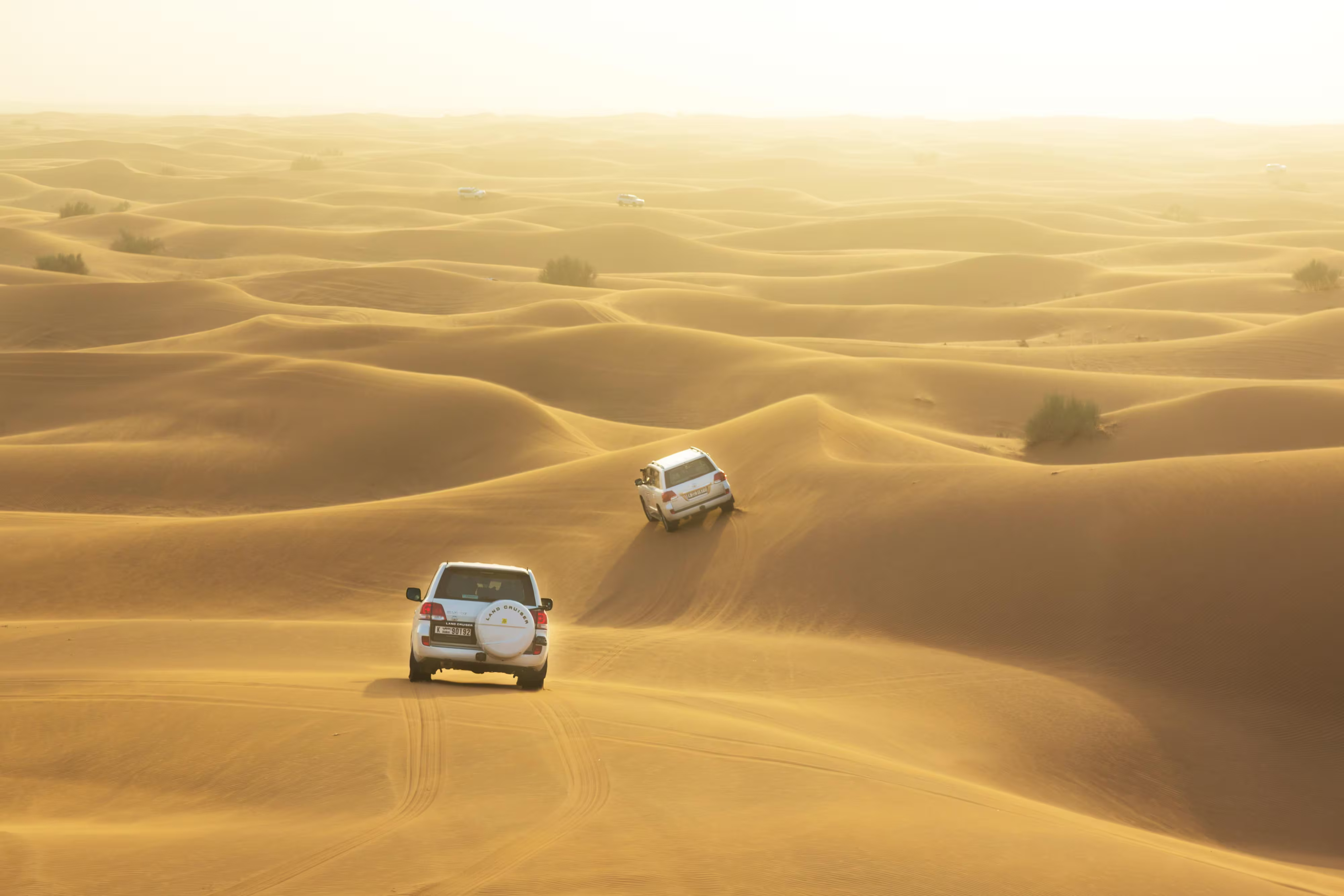 Desert Safari